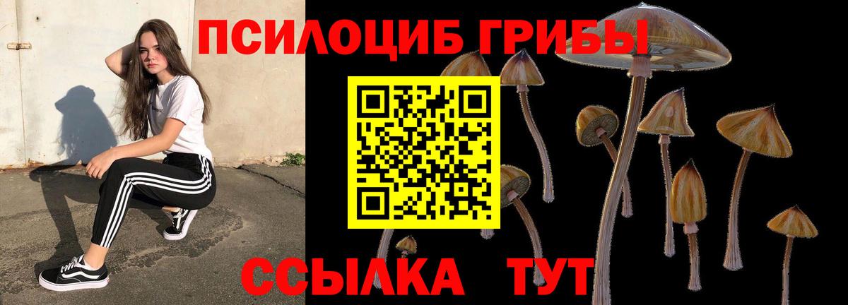 Аксай  Псилоцибиновые грибы мицелий  Вход с VPN 